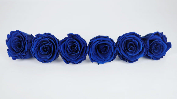 Roses stabilisées Kiara 6 cm - 6 têtes - Ocean blue