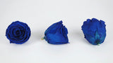 Roses stabilisées Kiara 6 cm - 6 têtes - Ocean blue