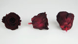 Roses stabilisées Kiara 6 cm - 6 têtes - Bordeaux