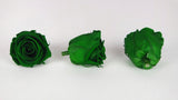 Roses stabilisées Kiara 6 cm - 6 têtes - Emerald green
