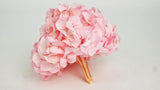 Konservierte Hortensie Kiara - 1 Kopf - Bridal pink - Si-nature