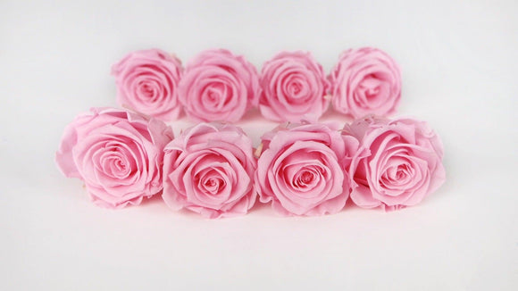 Preserved roses Kiara 5 cm - 8 rose heads - Bridal pink