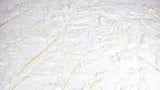 Lederfarn konserviert - 10 Stiele - Weiß - Si-nature