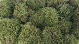 Konserviertes Moos Provence - kleine Packung - Natur grün - Si-nature