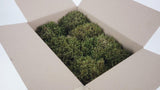 Konserviertes Moos Provence - kleine Packung - Natur grün - Si-nature