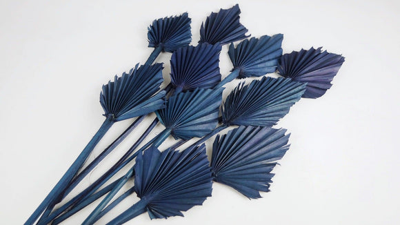 Palmes séchées mini - 10 tiges - Bleu nuit