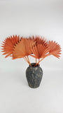 Palm Sun - 6 tiges - Ambre