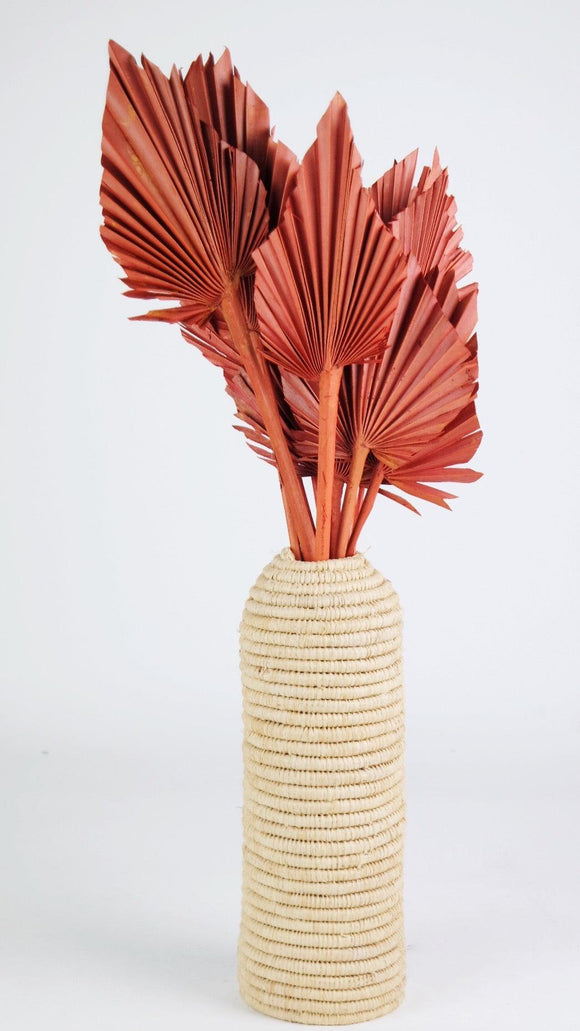 Palmes séchées M - 10 tiges - Terracotta