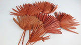 Palm Sun - 6 tiges - Terracotta