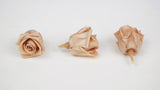 Stabilisierte Rosen Kiara 2 cm - 12 Stück - Nude - Si-nature