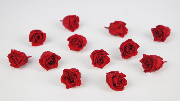 Roses stabilisées Kiara  2 cm - 12 têtes - Vibrant red