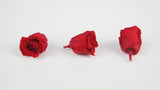 Roses stabilisées Kiara  2 cm - 12 têtes - Vibrant red