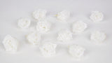Roses stabilisées Kiara 2 cm - 12 têtes - Pure white