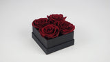 Stabilisierte Rosen 6,5 cm - 6 Stück - Rot - Si-nature