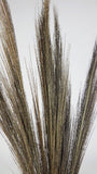 Broom Gras - 1 Strauß - Naturfarbe - Si-nature