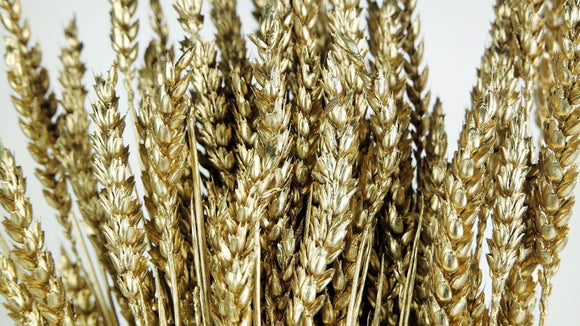 Weizen getrocknet - 1 Bund - Gold - Si-nature