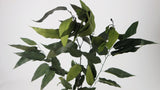 Eucalyptus Willow stabilisé - 1 botte - Kaki